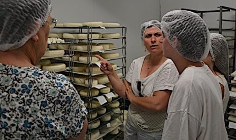Le haut débit alimentaire est en marche