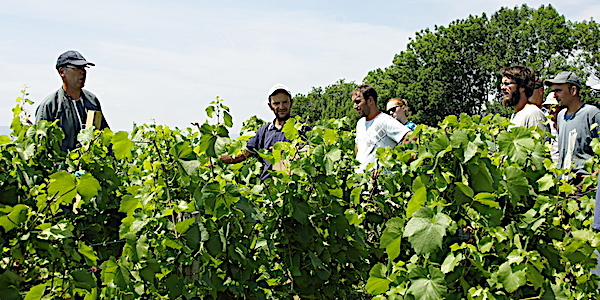 viticulteurs savoie