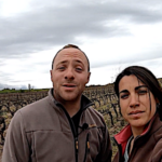 Viticulture, l’irrigation à la juste dose par rapport à la pluviométrie avec les sondes