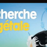 Sondage, deux tiers des agriculteurs veulent cultiver des OGM