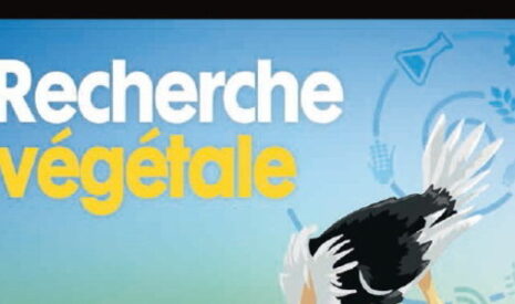 Sondage, deux tiers des agriculteurs veulent cultiver des OGM