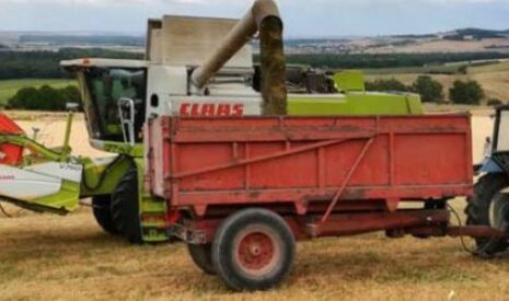 Cultiver la lentille pour protéger les aires de captages d’eau coule de source