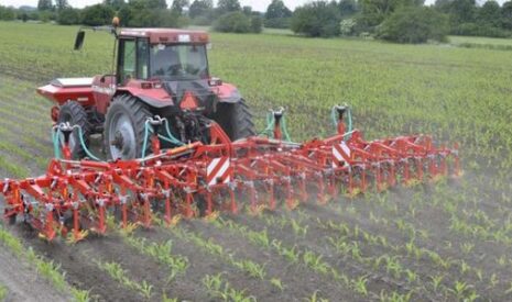 Mixez les désherbages pour plus d’efficacité