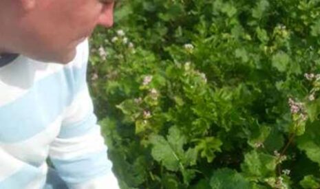 Se lancer dans la HVE en grandes cultures: pionnier de la certification HVE, Jean Lefèvre reste sur sa faim