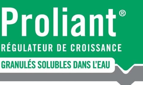 Biostimulants, aider les plantes à faire face aux stress abiotiques