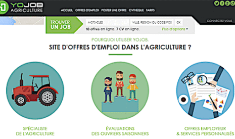 YoJob Agriculture facilite le recrutement des saisonniers agricoles