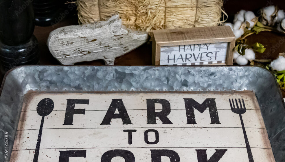 Stratégie Farm to Fork et taxation du carbone: déclin de l’agriculture européenne garanti