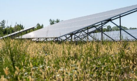 La centrale agrivoltaïque de Mont-Prés-Chambord sort de terre !