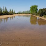 Dérèglement climatique : êtes-vous un agriculteur détaché, confiant, passif, anticipateur ou engagé ?