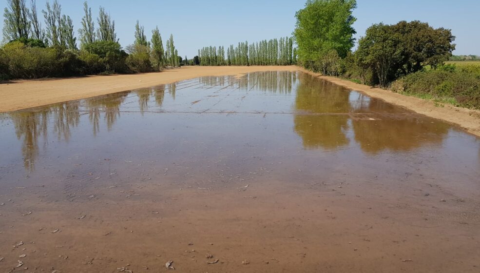 Dérèglement climatique : êtes-vous un agriculteur détaché, confiant, passif, anticipateur ou engagé ?