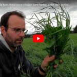 Comment faire le bon choix pour son herbe