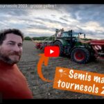 Semis de maïs et tournesols