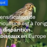 Déclin des oiseaux ou déclin de l’éthique scientifique ?