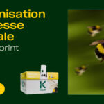 Koppert relève les défis de la pollinisation pendant les vagues de chaleur
