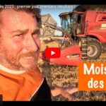 Moisson des blés