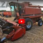 Moisson du colza