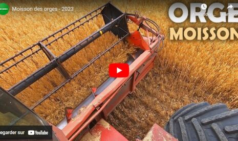 Moisson des orges