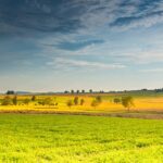 Restaurer la nature en Europe
