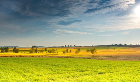 Restaurer la nature en Europe
