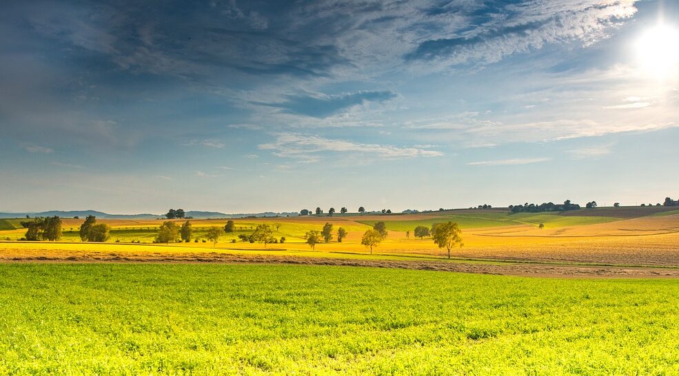 Restaurer la nature en Europe