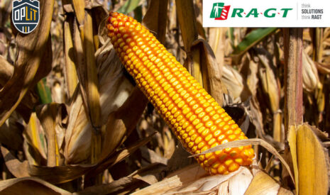 OpLit pour sécuriser le revenu des agriculteurs