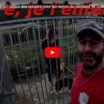 Suivez les activités de la ferme !