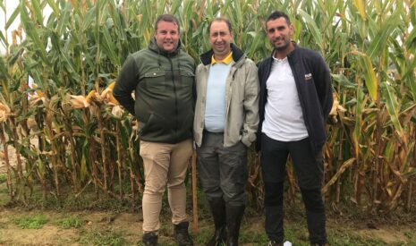 Maïs : 7 qtx supplémentaires avec la modulation de semis