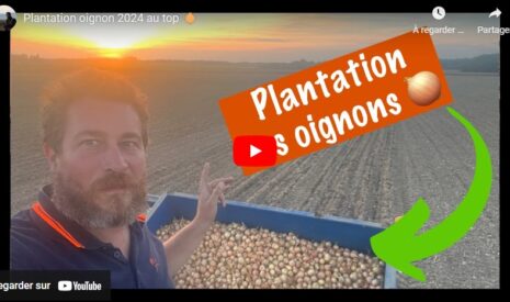 Démarrage de la plantation des oignons pour 2024 !