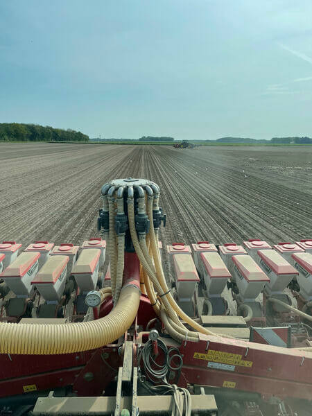 Pour l'implantation des haricots, Jean-François Tessier a séparé semis et préparation du sol. © DR