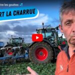 Semis de blé entre les gouttes