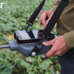 Evaluer la biomasse du colza grâce au N-Pilot® afin d’optimiser la fertilisation azotée du colza