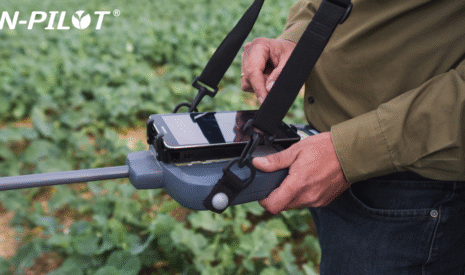 Evaluer la biomasse du colza grâce au N-Pilot® afin d’optimiser la fertilisation azotée du colza