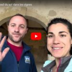 Les travaux sur le domaine avancent !