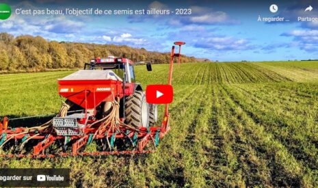 Désherbage en direct dans les parcelles