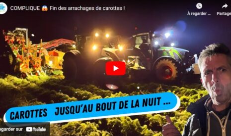 Fin des arrachages de carottes