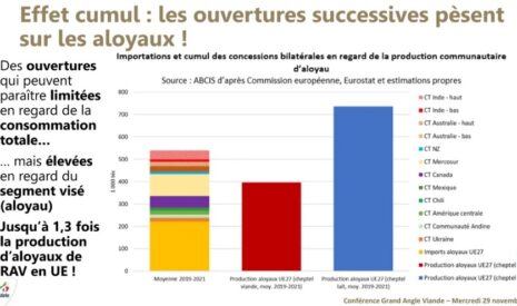 Filière bovine et accords de libres échanges UE: les contingents d’aloyaux alloués supérieurs à 500 Ktéc