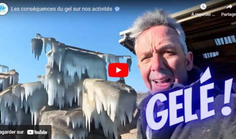 Les conséquences du gel sur nos activités