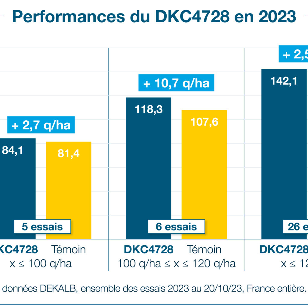 graph perf dkc4728 2023