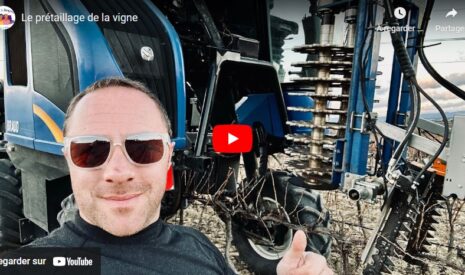 Prétaillage des vignes
