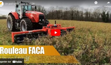 Passer le rouleau Faca