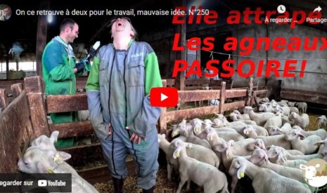 Travail à deux à la ferme !