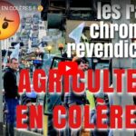 Pourquoi les agriculteurs sont-ils en colère ?