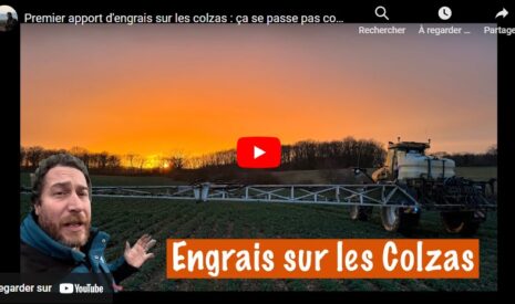 Comment s’est passé le premier apport d’engrais sur les colzas ?