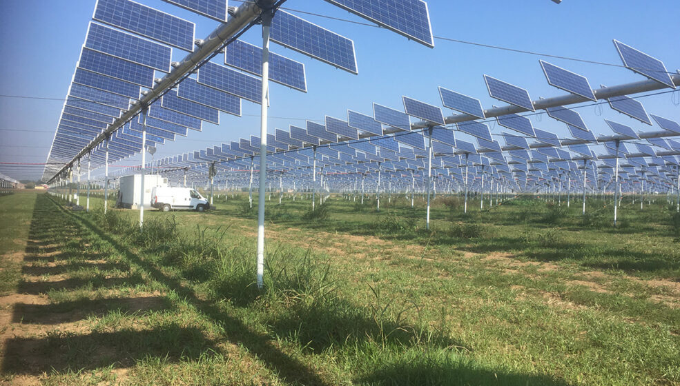 Faire bâtir sa centrale agri-voltaïque par un énergéticien