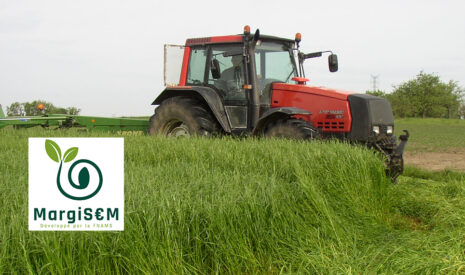 MargiS€M, : outil d&rsquo;estimation des charges de production et de rentabilité des cultures porte-graine