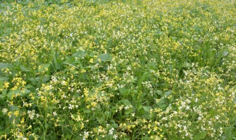 Renforcer son approche agronomique