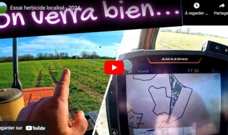 Essai herbicide localisé 2024