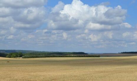 Agrivoltaïsme et paysagisme : les champs solaires nucériens