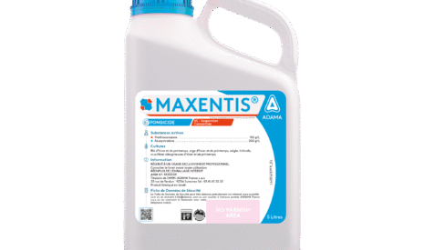 MAXENTIS®, nouvelle solution prête-à-l’emploi pour simplifier la protection fongique des céréales et des colzas