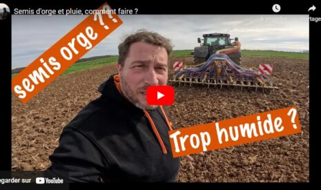 Semis d’orges de printemps